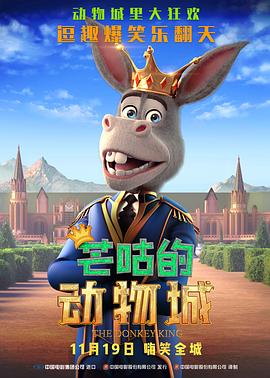 啪视频在线
