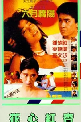 日本高清免费视频不卡a
