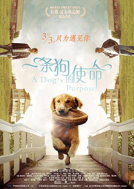 亚洲国产精久久小蝌蚪