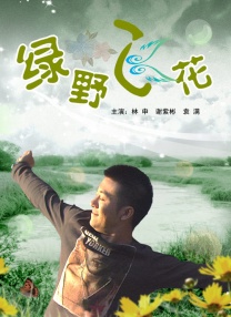 一本一道dvd在线播放器