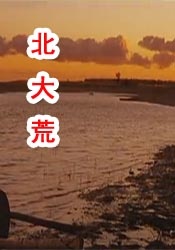 国产人成午夜电影