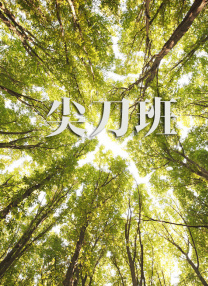 精品视频一区二区三区