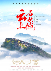 hav在线