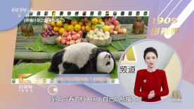 黄漫网址